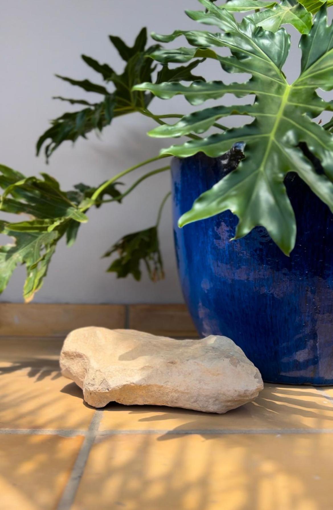 House Boho Palm With Private Heated Pool And Garden, 3 Bedrooms, Wi-Fi 코라레호 외부 사진
