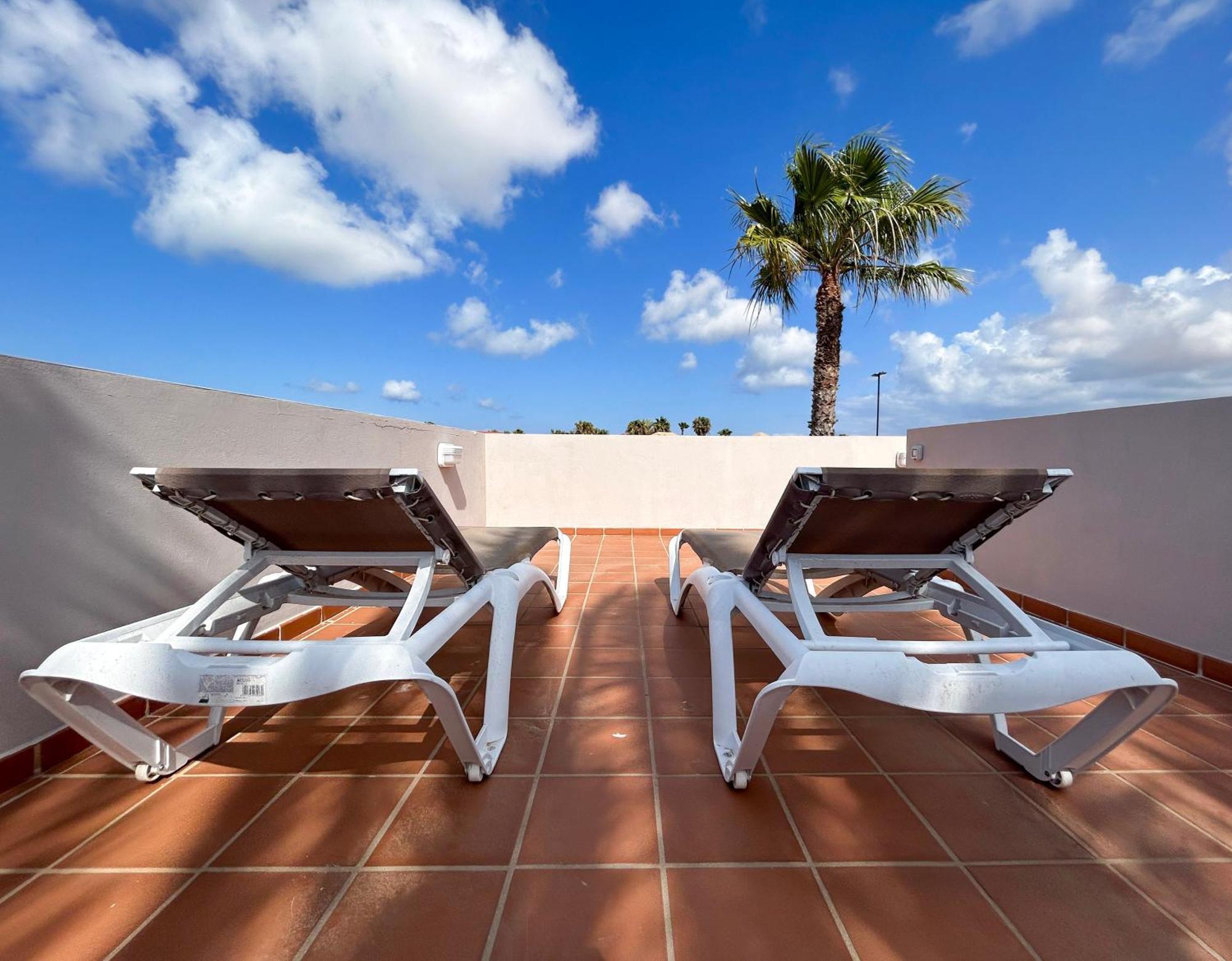 House Boho Palm With Private Heated Pool And Garden, 3 Bedrooms, Wi-Fi 코라레호 외부 사진